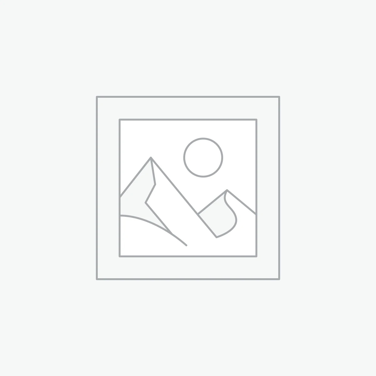 Zástupný symbol